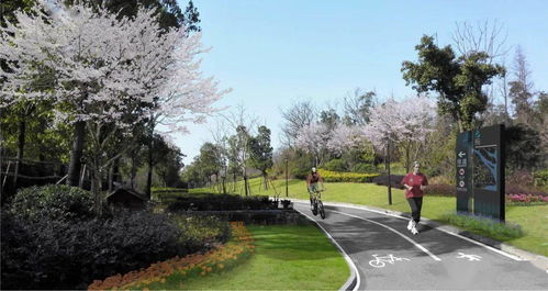 嘉定新添一处 城市绿带 ,外环林带绿道内步道将于10月底建成